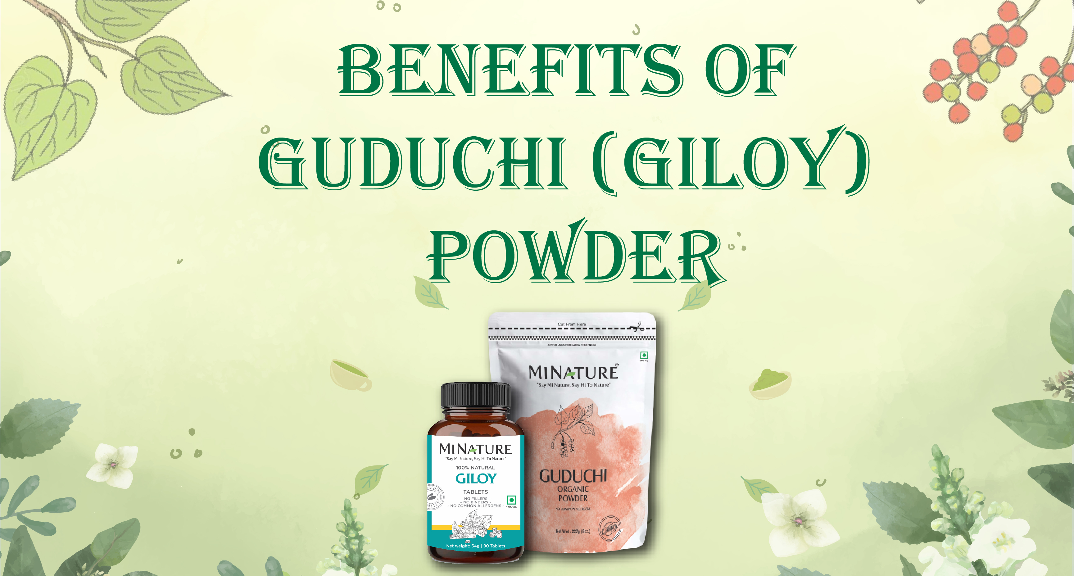 Benefits of Guduchi (Giloy) Powder